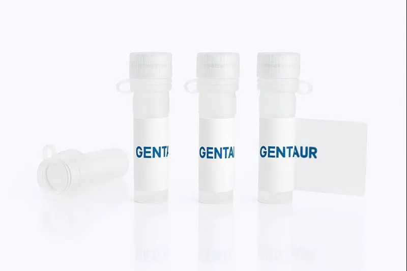 Colloidal Gold Conjugated Limax flavus Lectin (Garden Slug) -LFA-  20nm Particle Size 