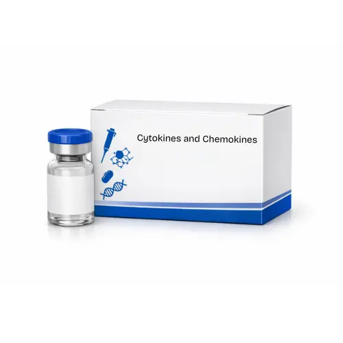 Fractalkine/CX3CL1, Human