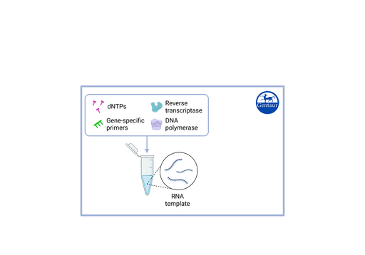 [IPH21505.50] RT PCR Test Kits  SARS-CoV-2